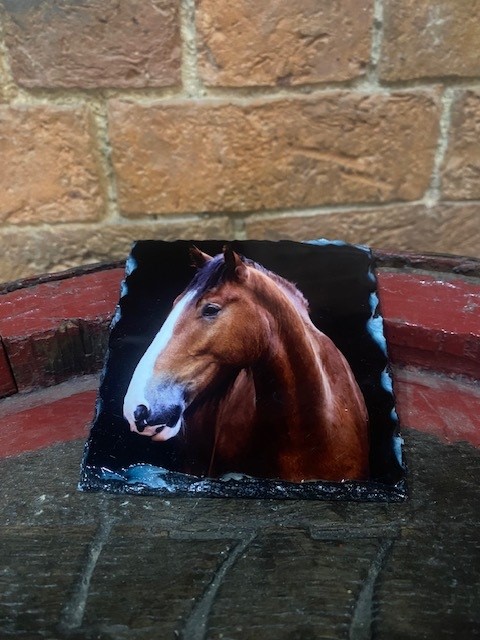 Brigadier Shire Horse Slate Coaster - Image 3