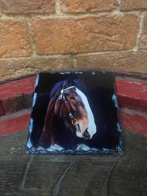 Cromwell Shire Horse Slate Coaster - Image 3