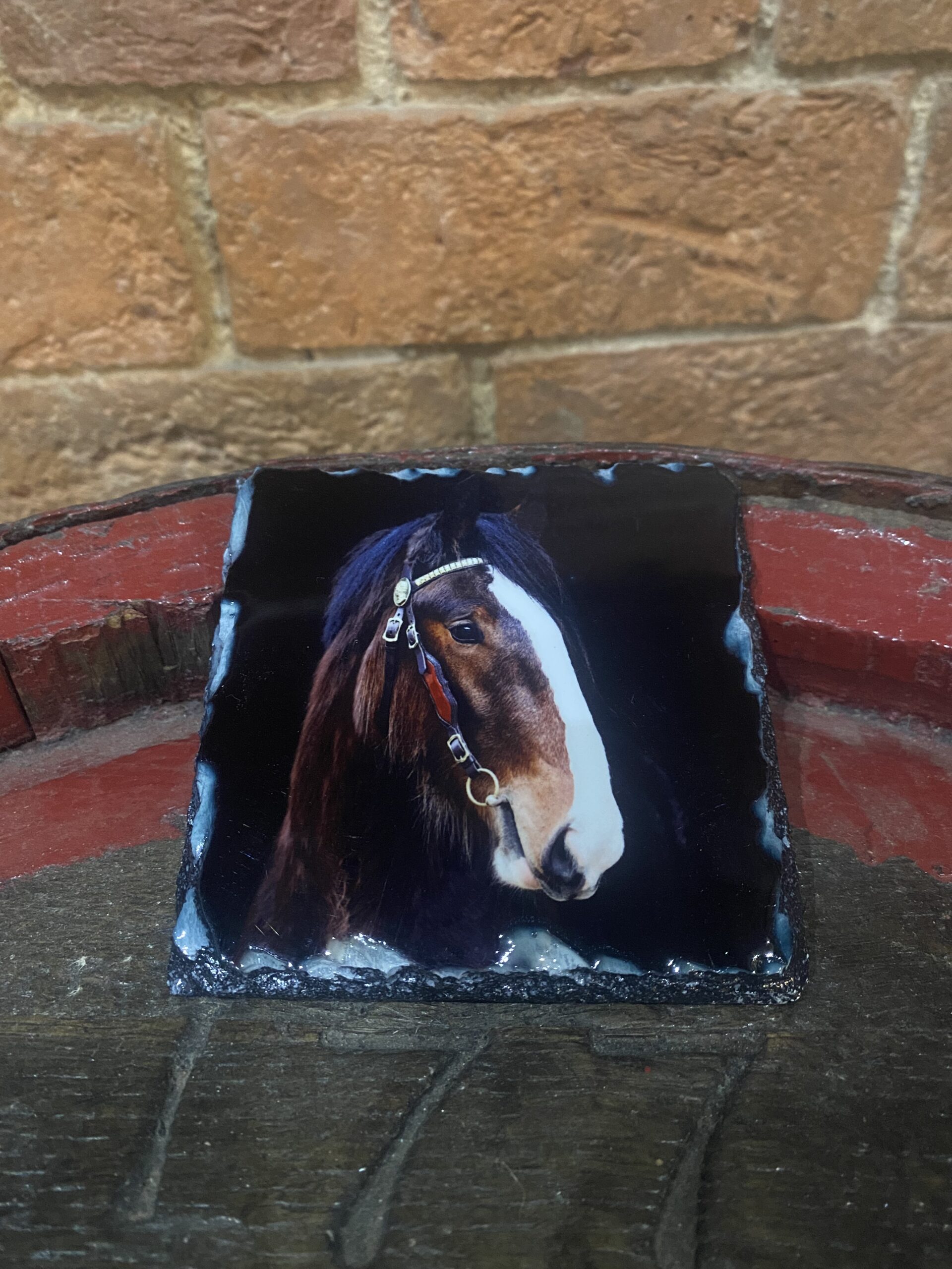 Cromwell Shire Horse Slate Coaster