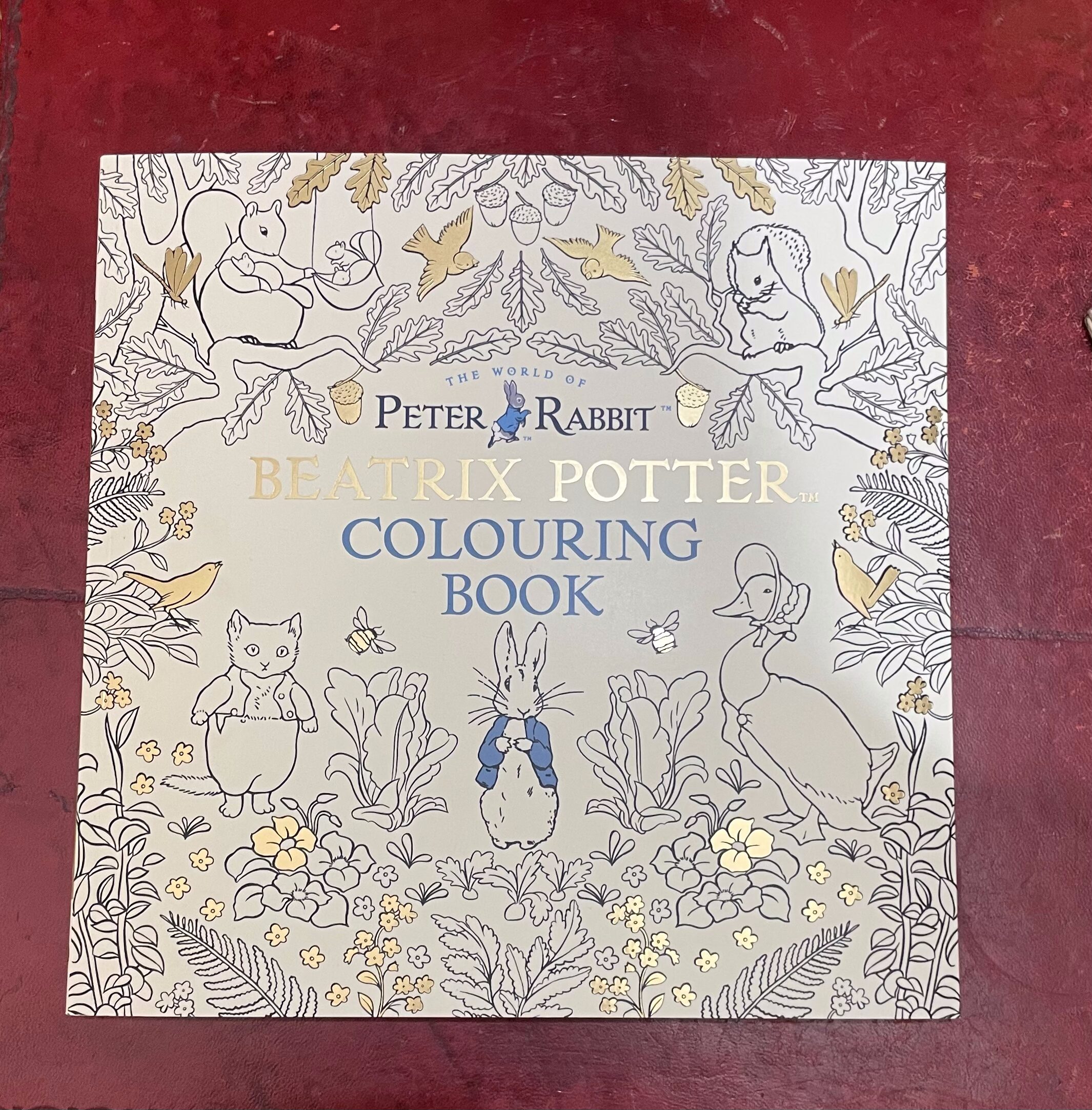 Peter Rabbit Colouring Book