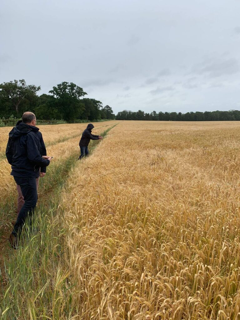 Maris Otter Day 2026-09