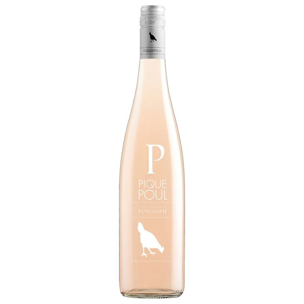 Pique Poul Rose