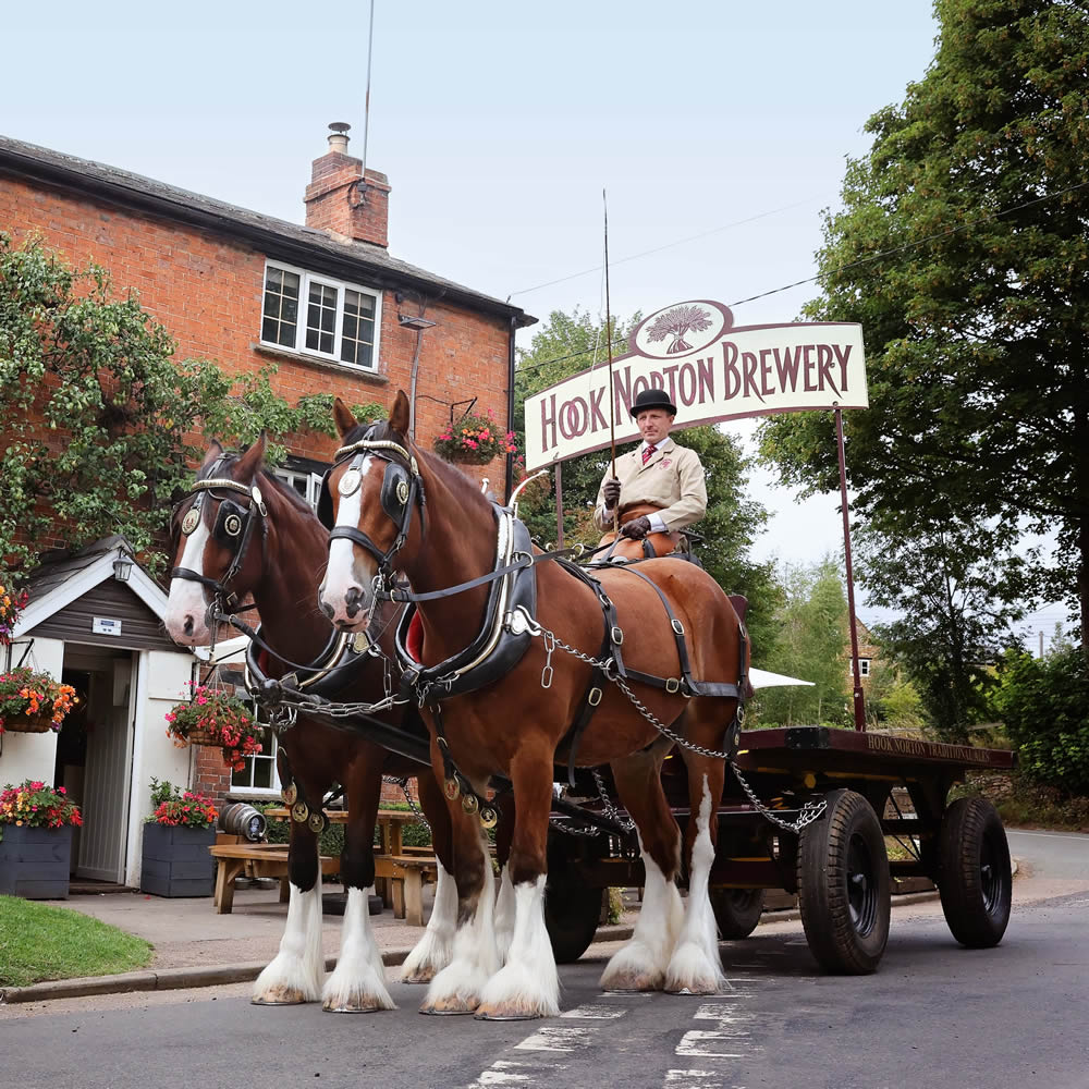 Shire Horse Dray Pear Tree Hook Norton Delivery