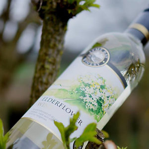 Elderflower Wine - Lyme Bay