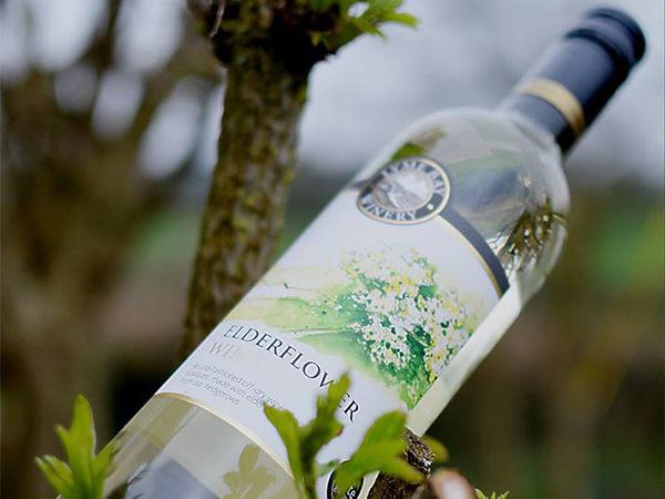 Elderflower Wine - Lyme Bay